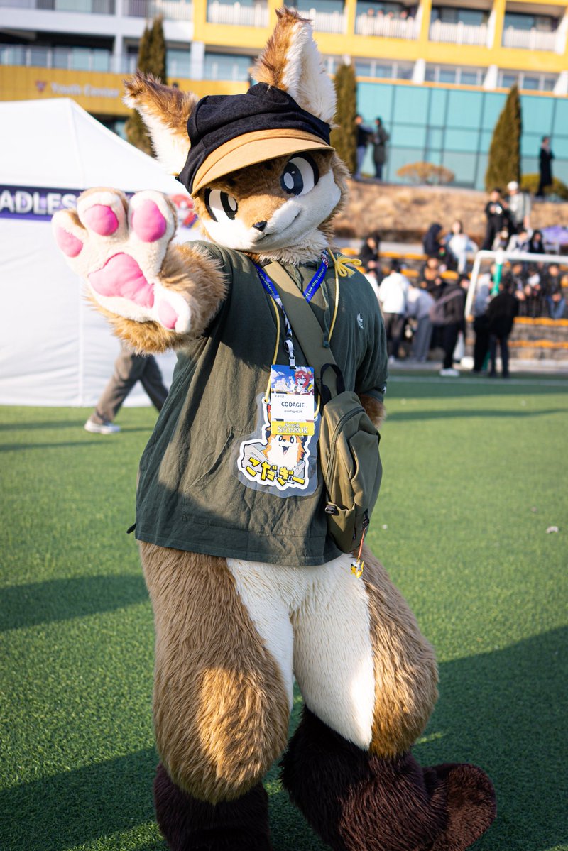 퀘이버 tweet media