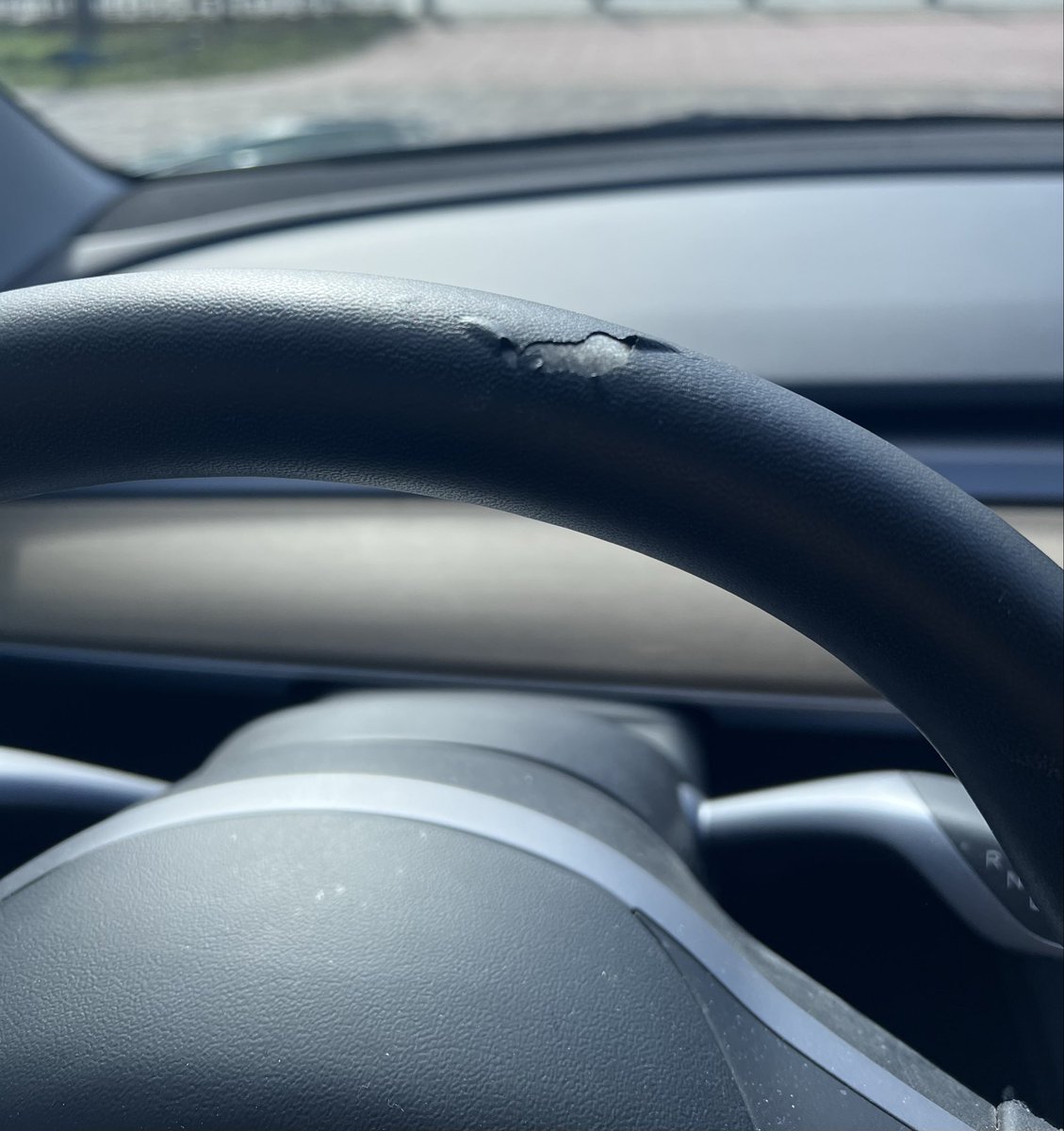 🇳🇱🐃Bull-Rider🐃🇳🇱 tweet media