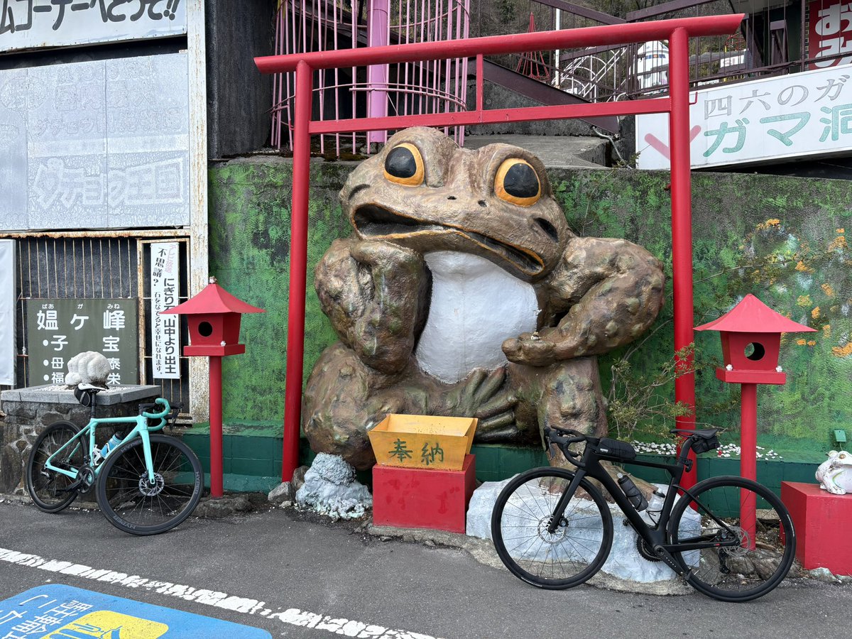 きのこ tweet media