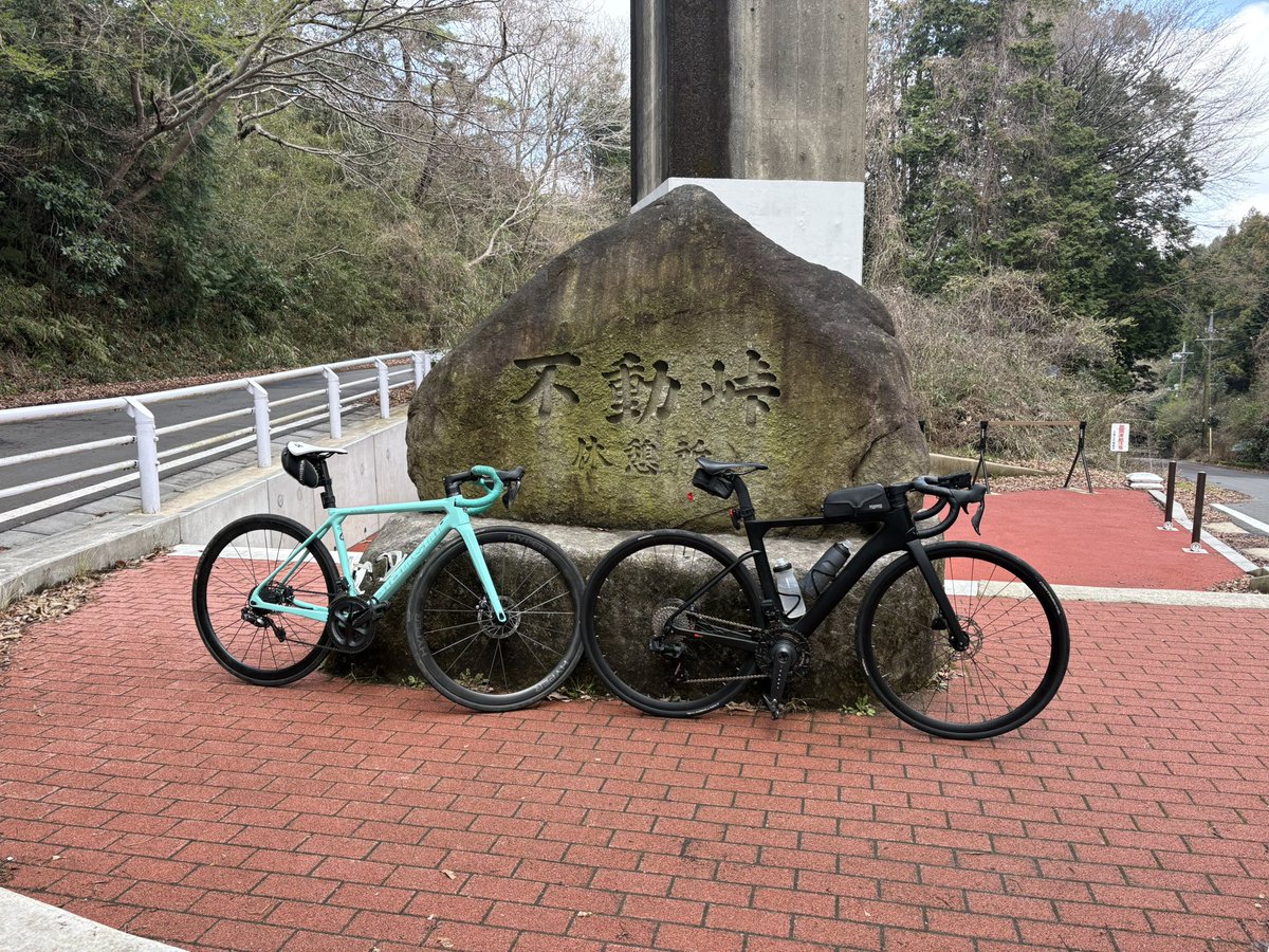 きのこ tweet media