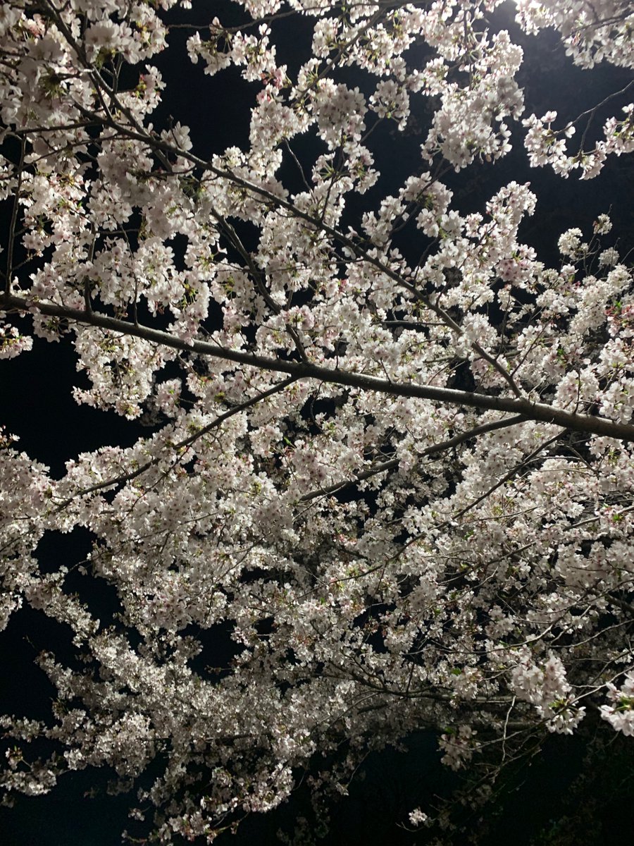 今年も来れました