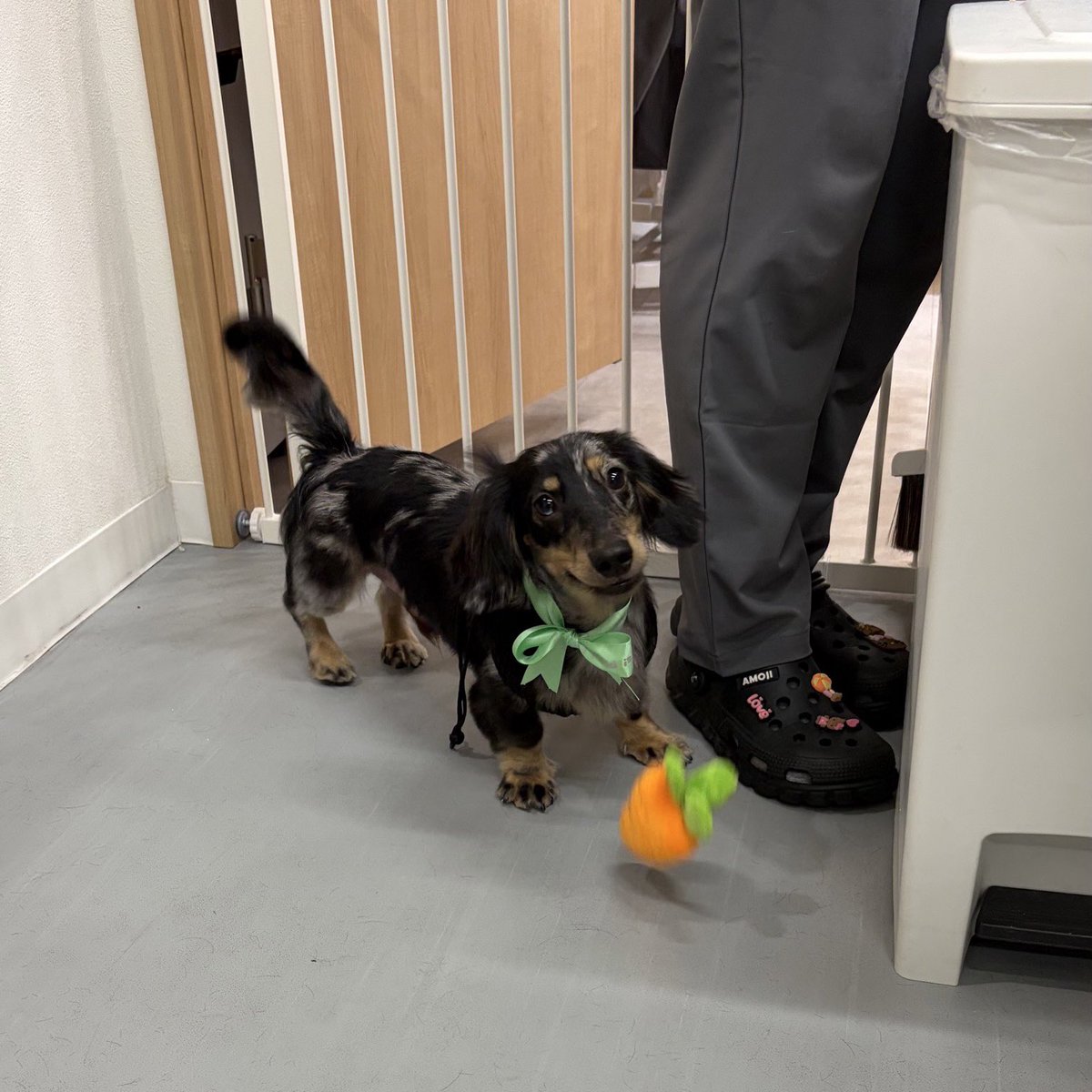 𝘪𝘤𝘰 tweet media