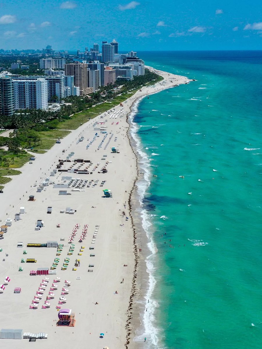 Seascape Nature tweet media