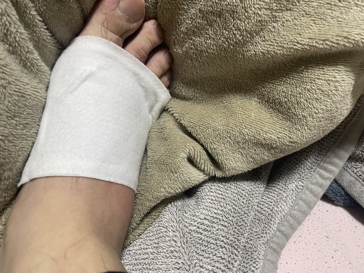 泉区の(´www`)パパちゃん🎶(茉奈ちゃん推し) tweet media