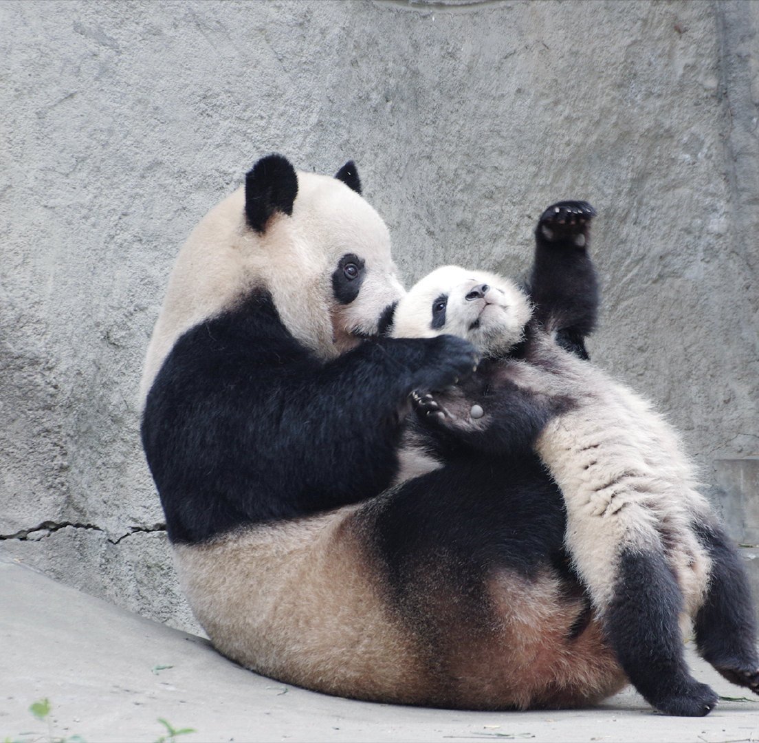 Sandip Chakraborty tweet media