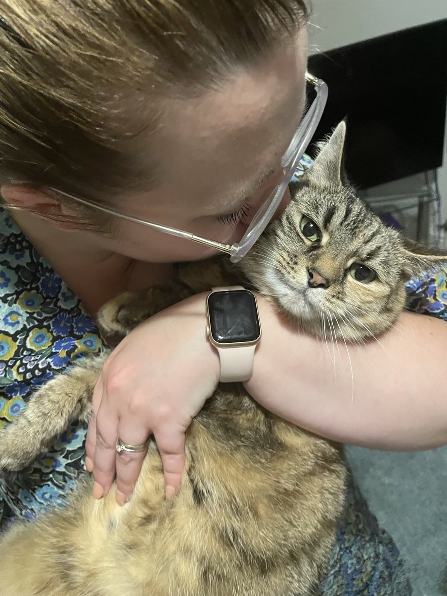 Rob Jeffries tweet media