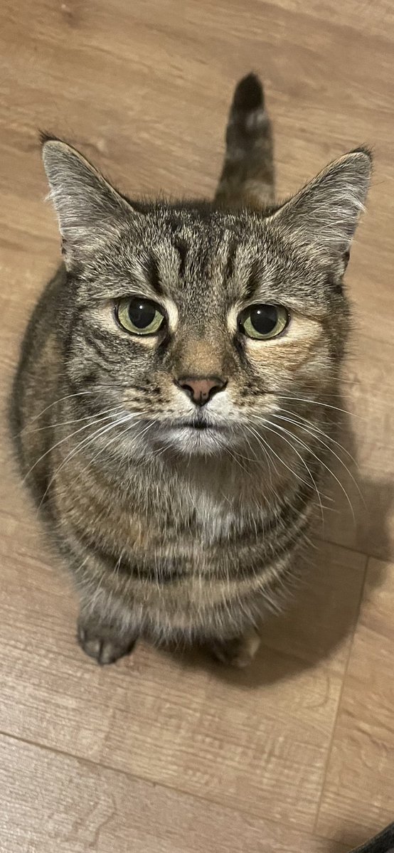 Rob Jeffries tweet media