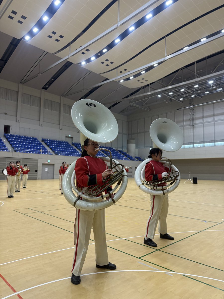 BEPPU♨️Anba in'Blue Birds!'🗡️ tweet media