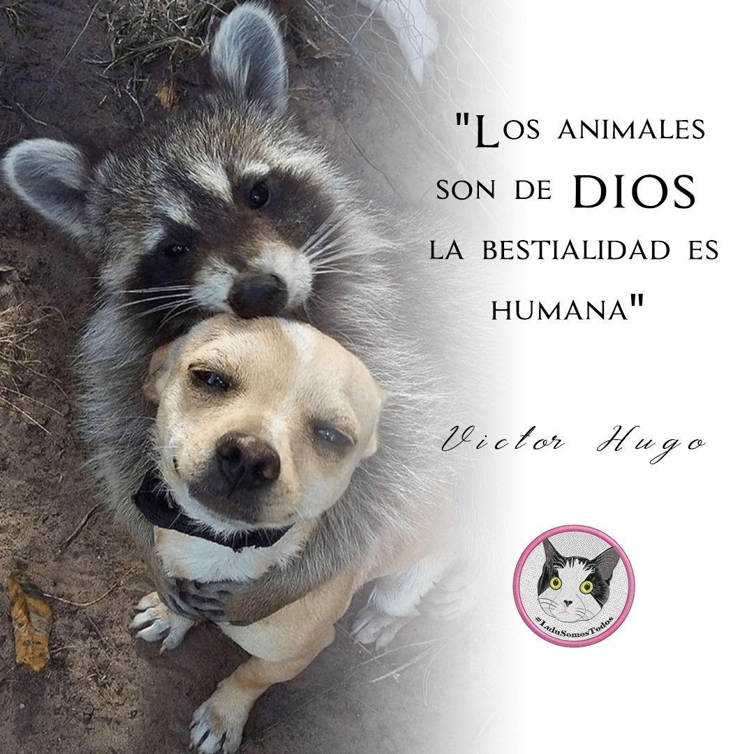 Nutrecajo tweet media