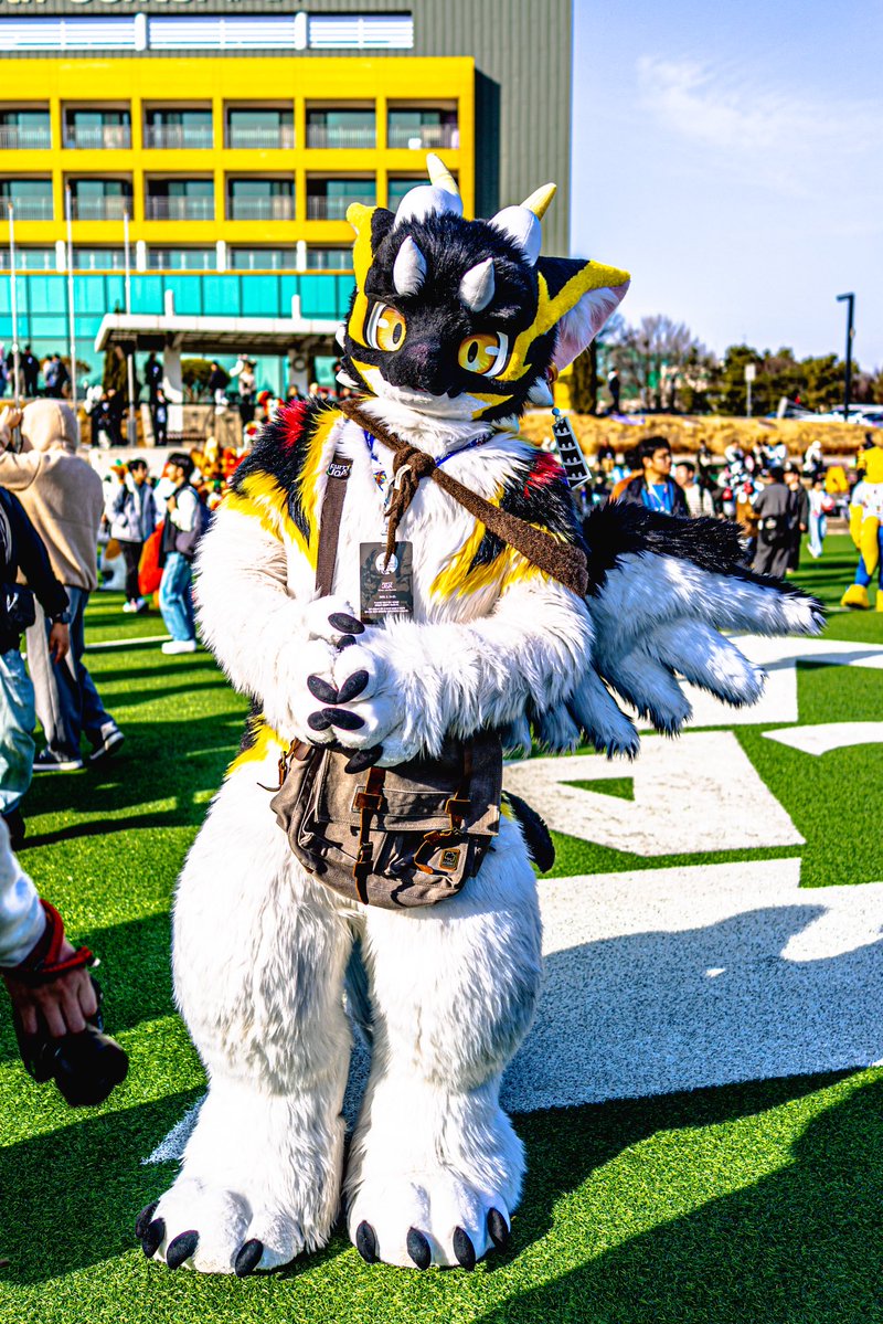 퀘이버 tweet media