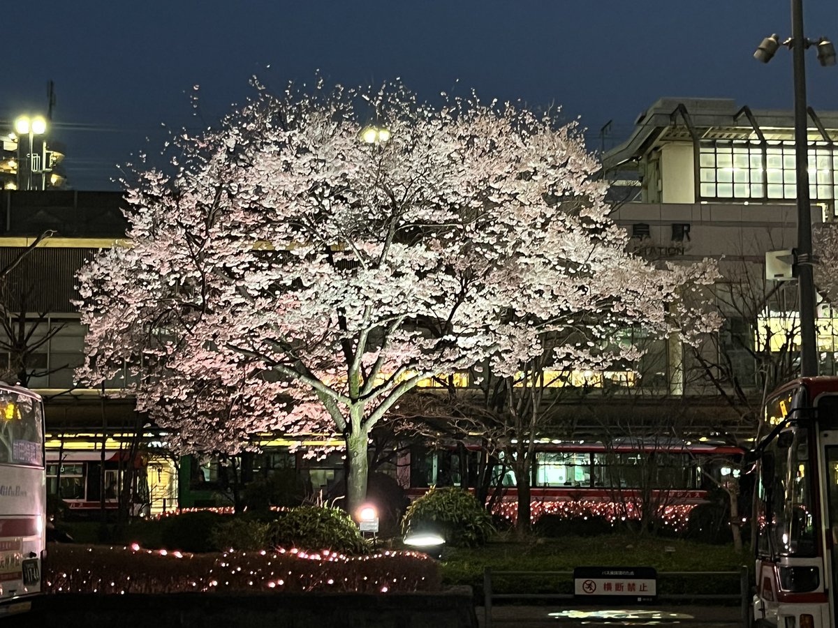 ニシヤン🌊✨伊勢湾・三河湾継美隊 tweet media