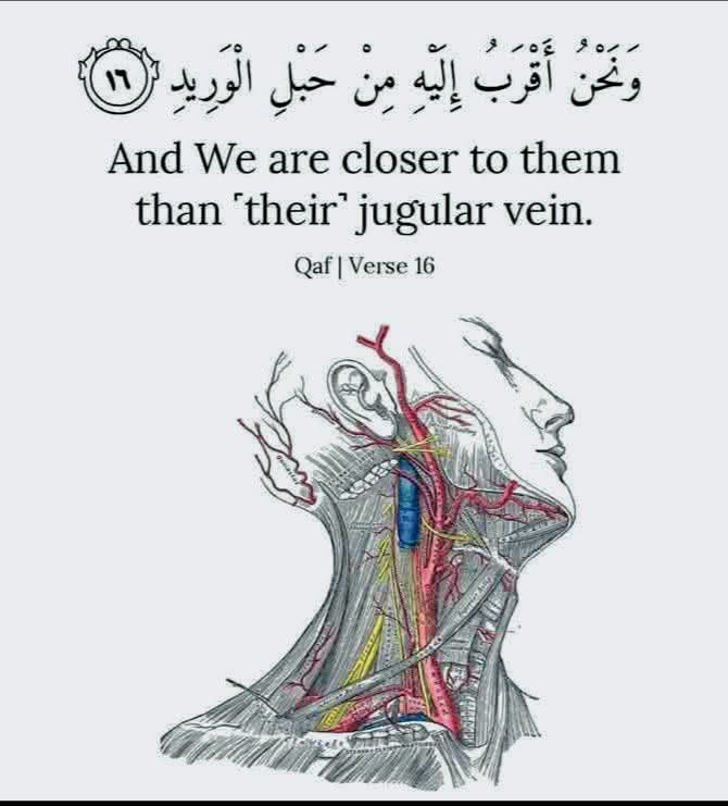 rudol9h's tweet image. We are closer to them than their jugular vein.
#Quran #Ayat #Islamicpost