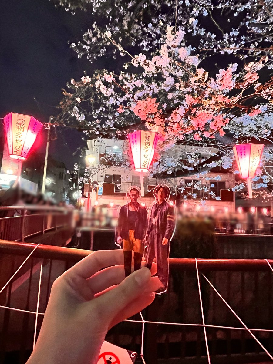 にしろ　通頒開始してます🕊️ tweet media