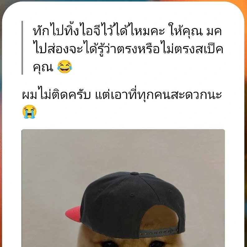 Mocha 🔇 tweet media