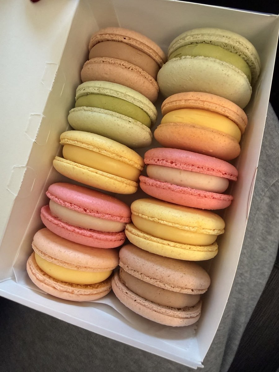 𝙼𝚘𝚞𝚜𝚎✩ ｡⋆🐁 tweet media