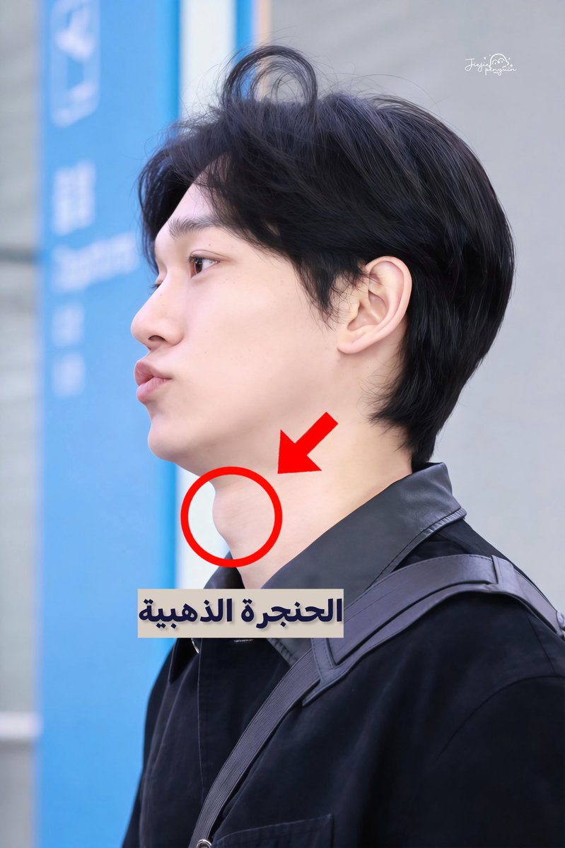 ASIAN WAVE tweet media