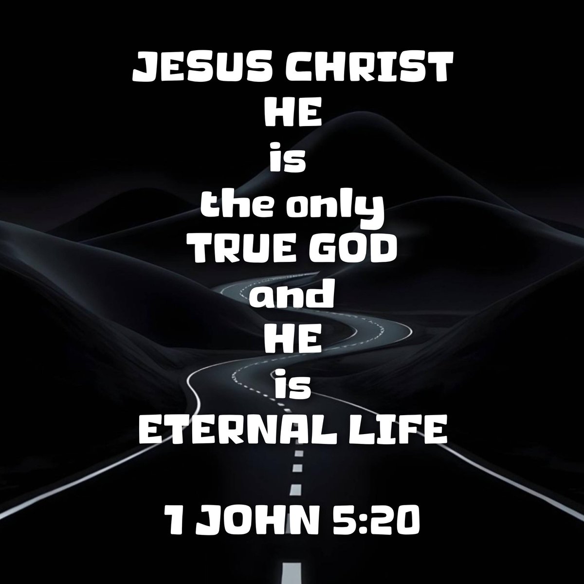 RED PILL MONKEY 🔴🐒 tweet media