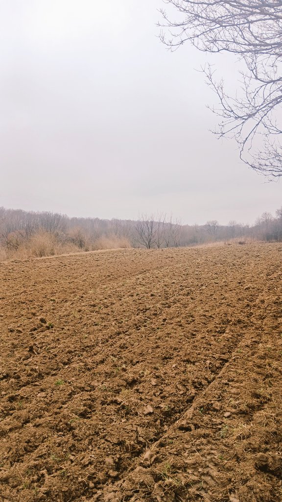 Сім глеків сикери tweet media