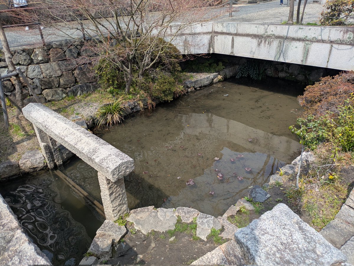 オイカワ丸 tweet media