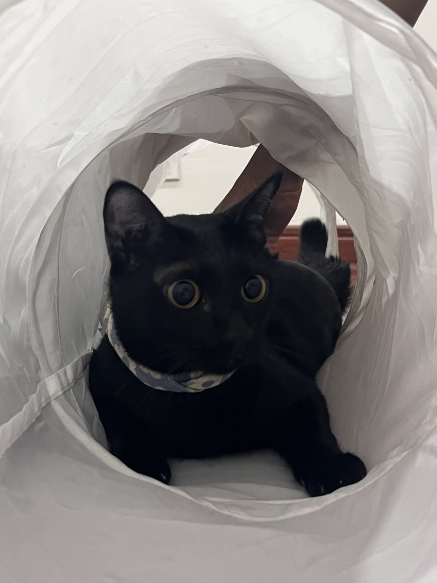 SuppLy🍎✧·˚ ༘ tweet media