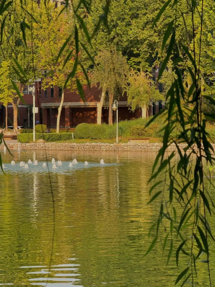 Erick Rosario tweet media