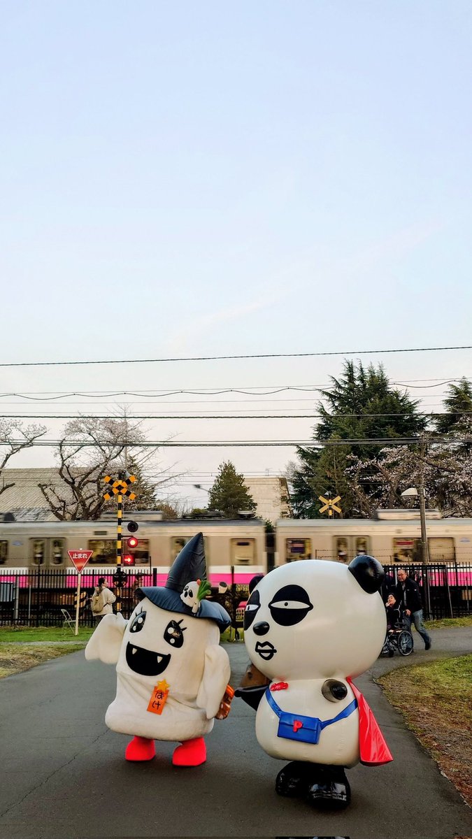 やまちゃん🌻いがとも推し tweet media