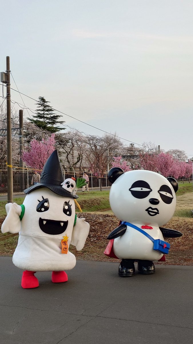 やまちゃん🌻いがとも推し tweet media