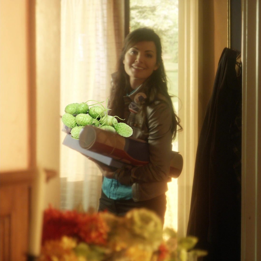 acervo laneville tweet media