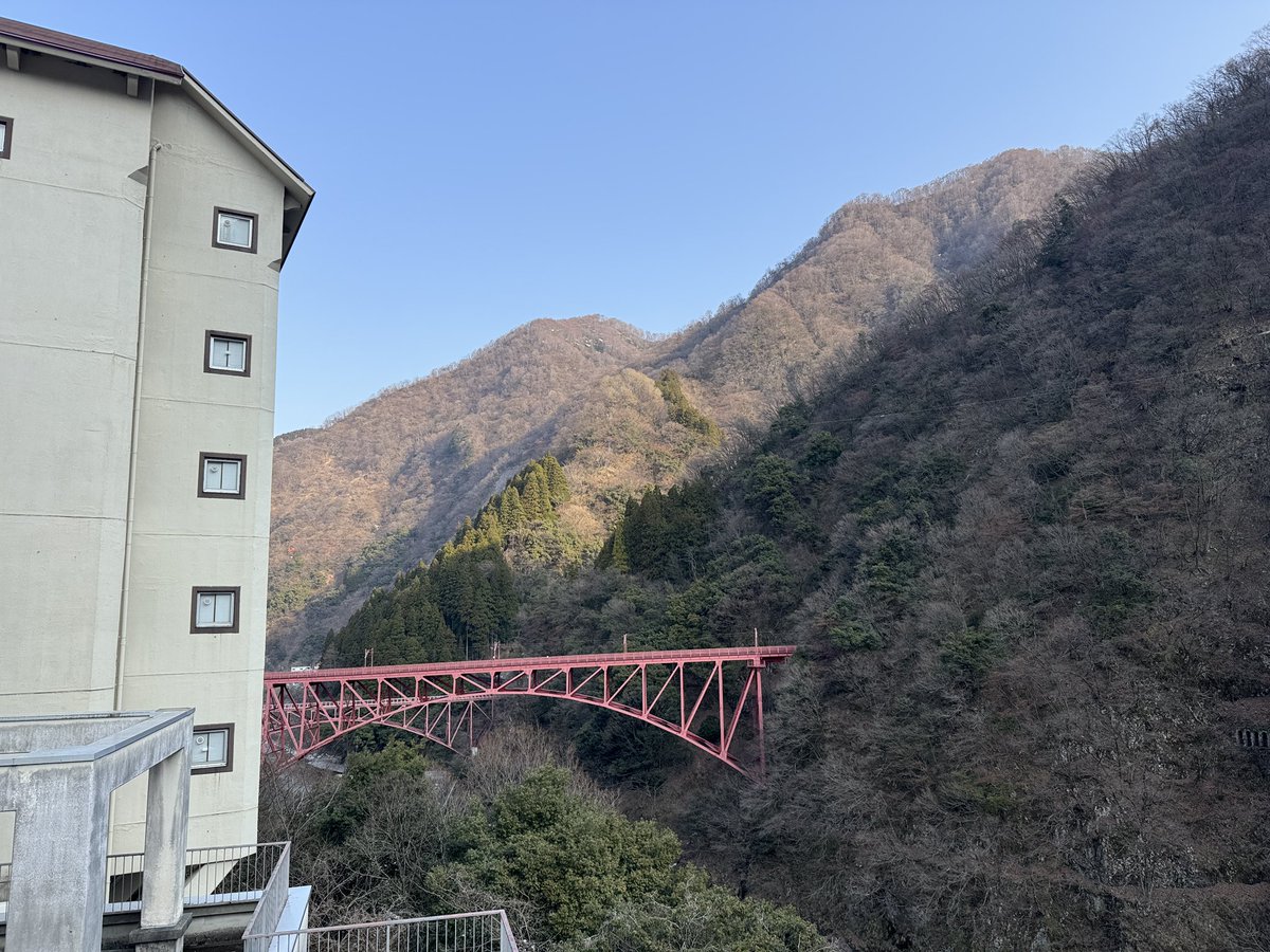 ぽん🎗️ tweet media