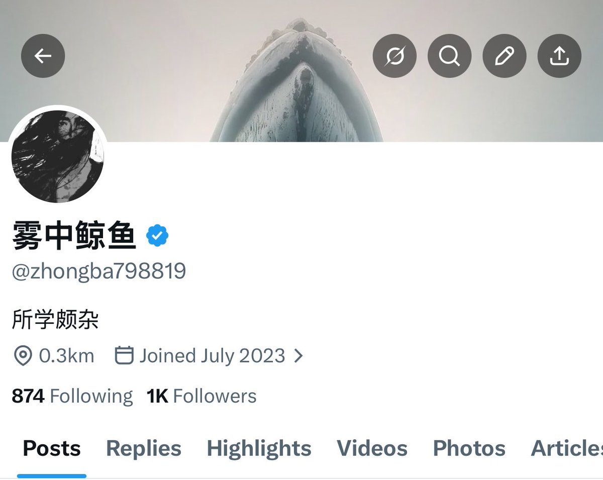 雾中鲸鱼 tweet media