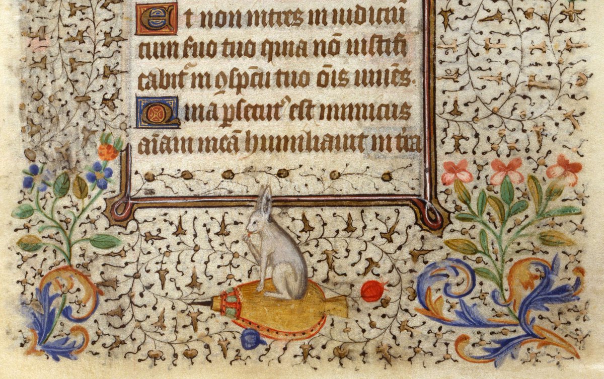 TheJohnRylands's tweet photo. 🐰Easter opening hours🥚

❌Closed Friday 2 April (Good Friday)
✅Open Saturday 4 April
❌Closed as usual on Sunday 5 April

📅Usual opening hours Wednesday-Saturday, 10am-5pm

🐇Rabbit from 15th century Book of Hours (Latin MS 162) https://t.co/NIgVPAWGhf