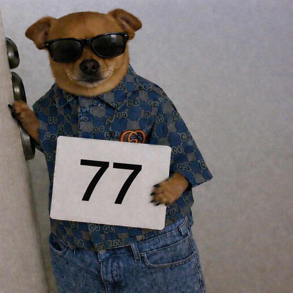 Manuel🕸️ tweet media