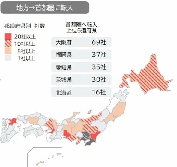 ぽん太 tweet media