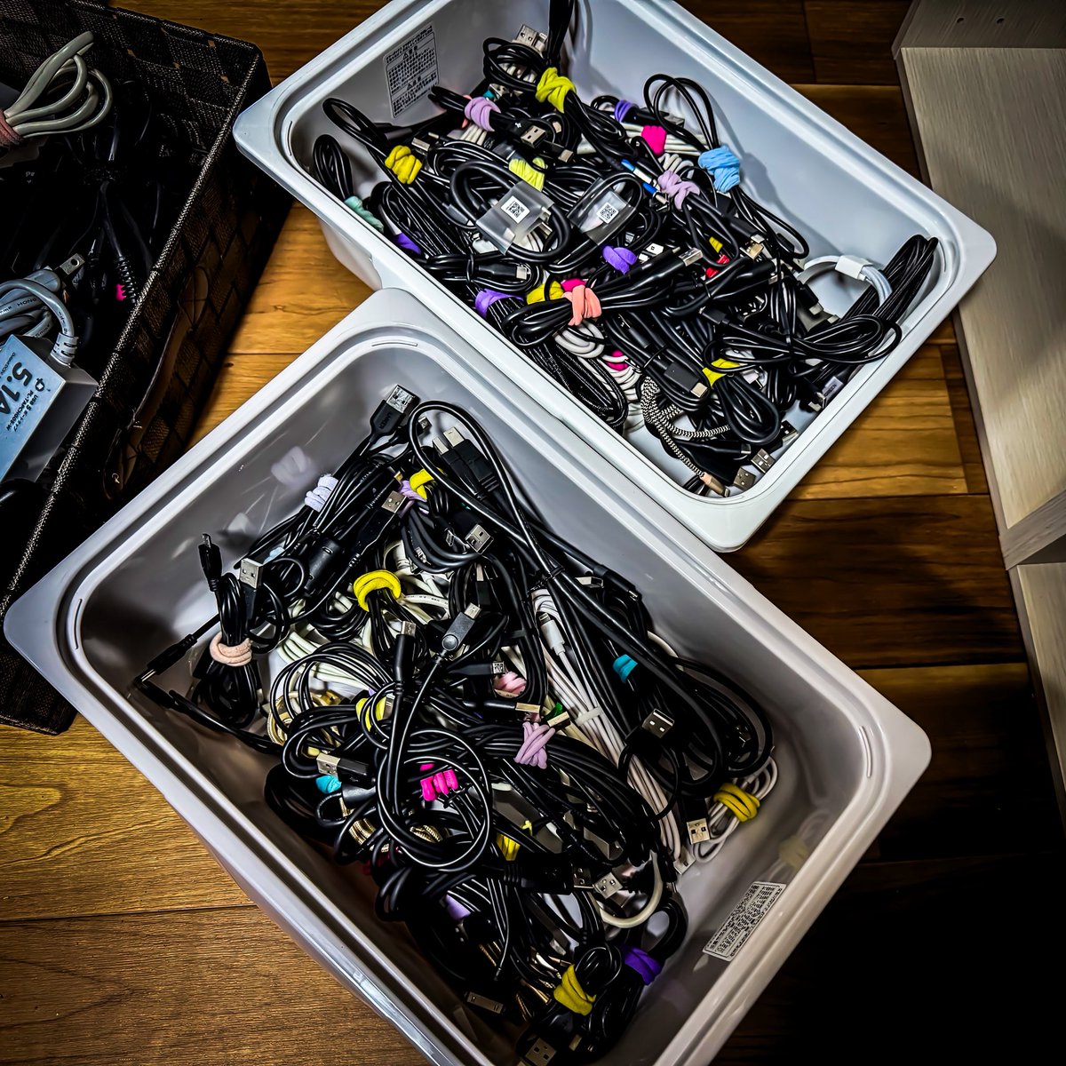 ぐっちぃ⭐︎ tweet media