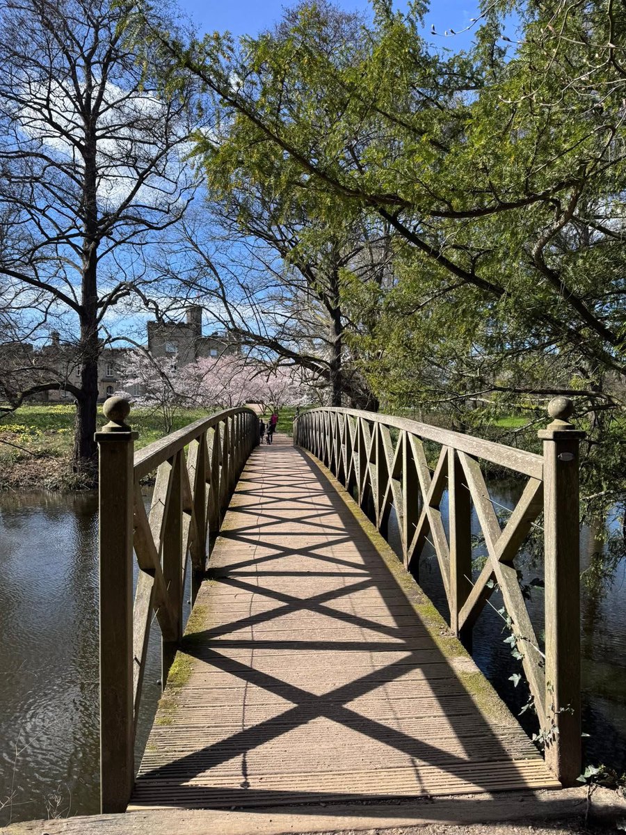 Claudia Bryan tweet media