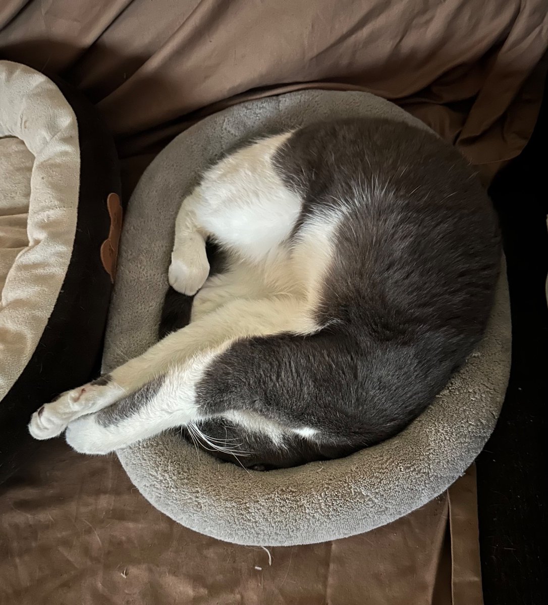 Laura Aynsley tweet media