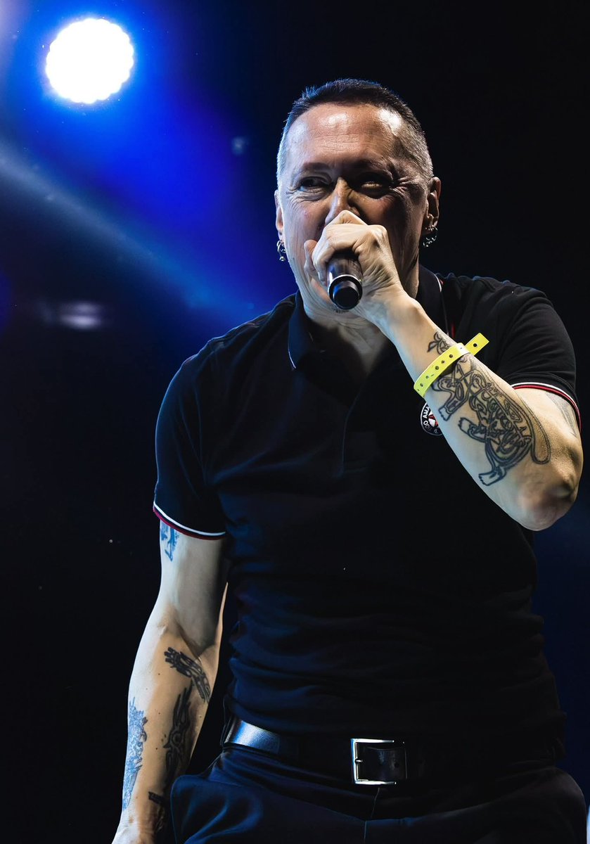 BANDA BASSOTTI tweet media