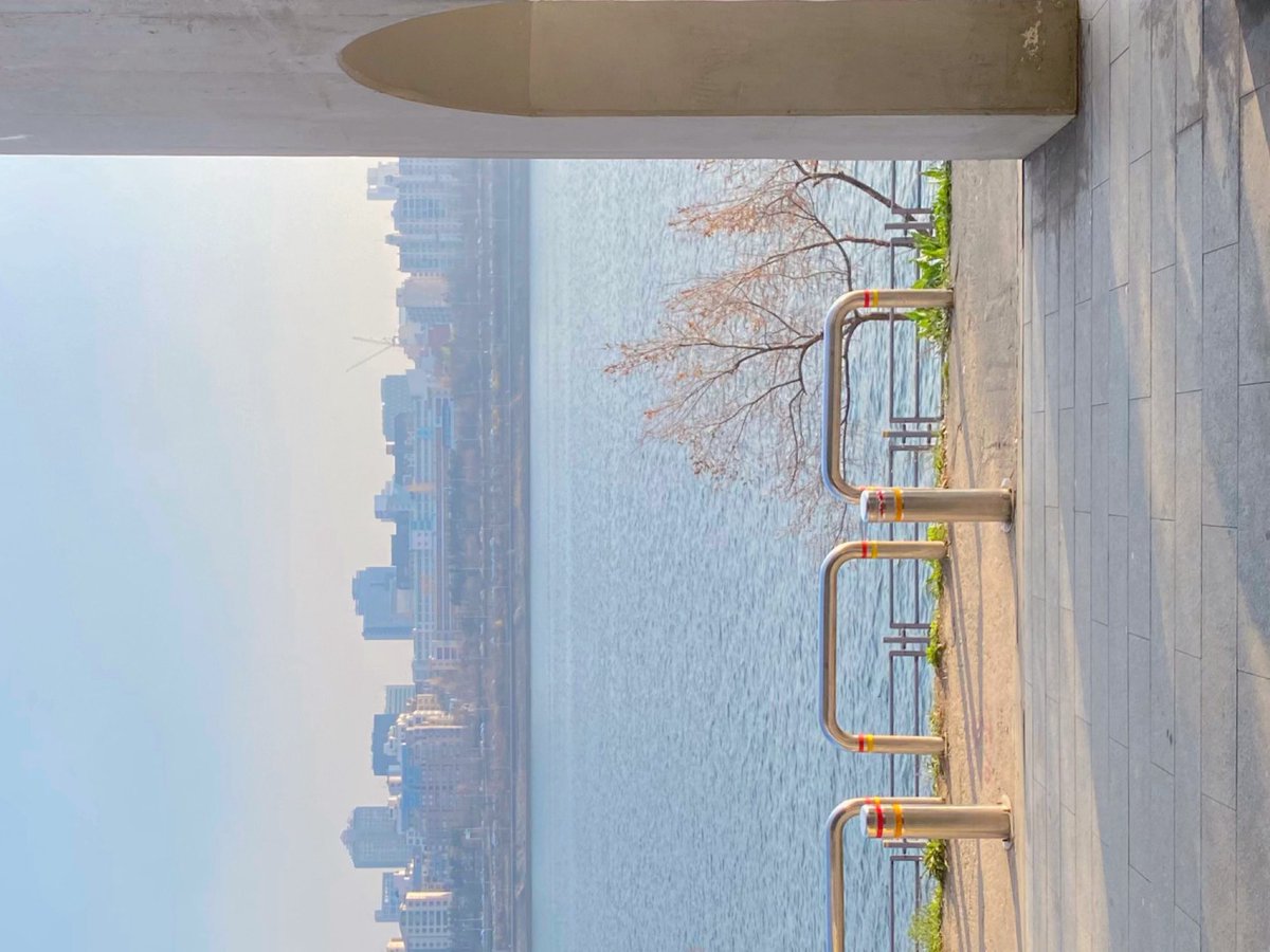 🍋‍🟩 tweet media