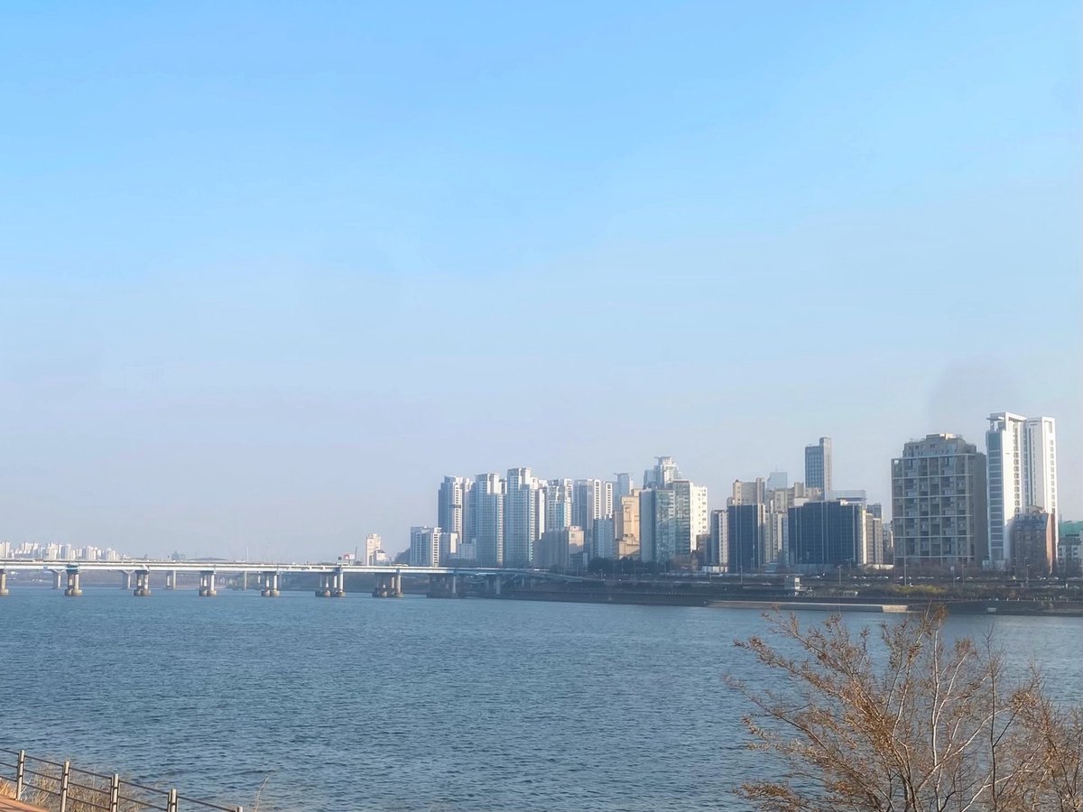 🍋‍🟩 tweet media