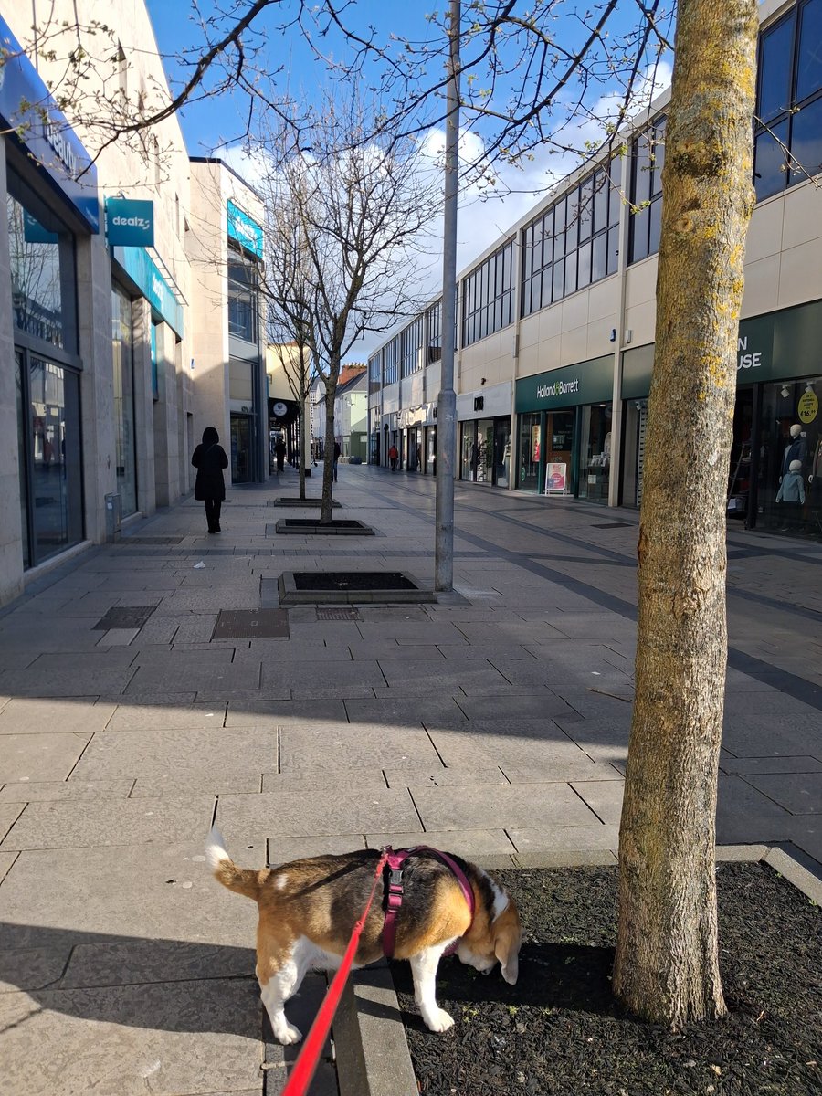 Beatrice Caball tweet media