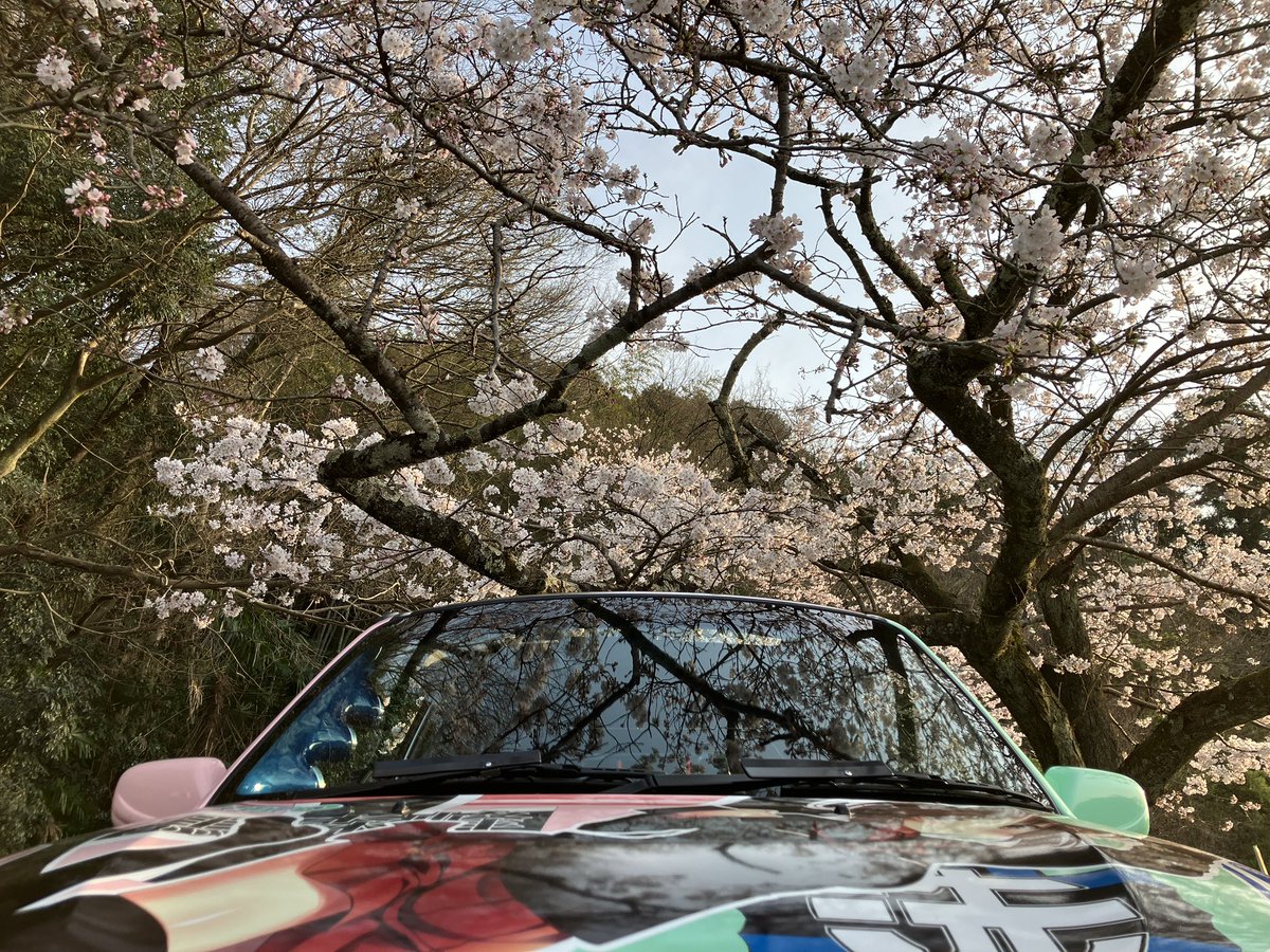 まぁ〜ぶる tweet media