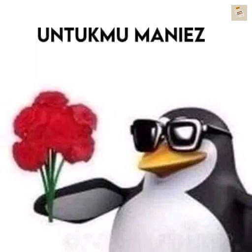 amon🎈 tweet media