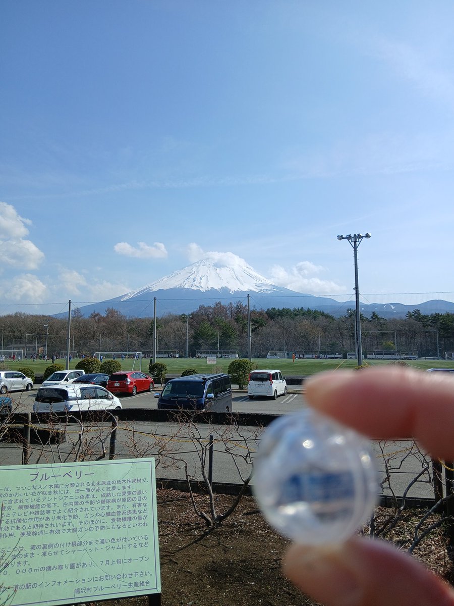 タロウ@ぼぶ tweet media