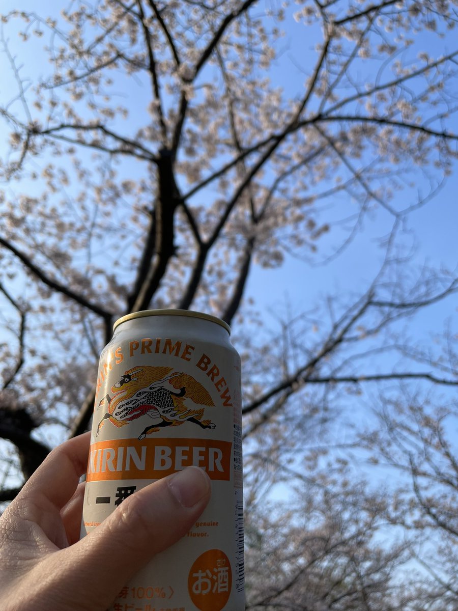 ぺりぞう tweet media