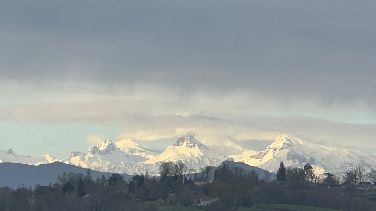 Elise Daycard tweet media