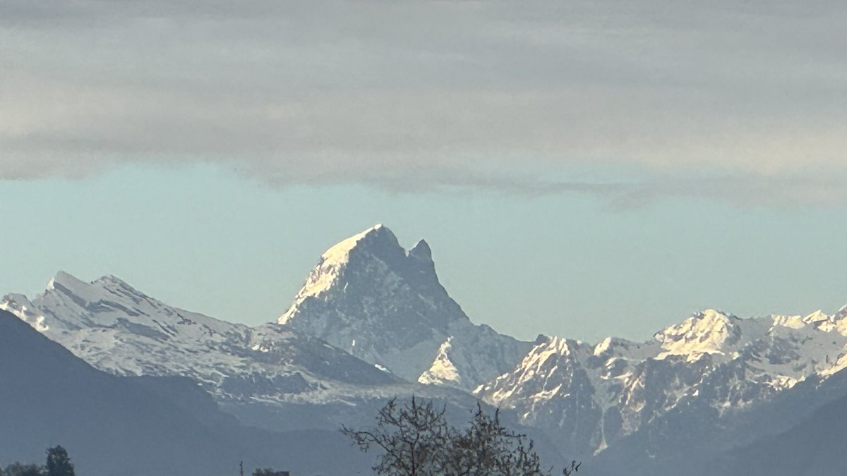 Elise Daycard tweet media