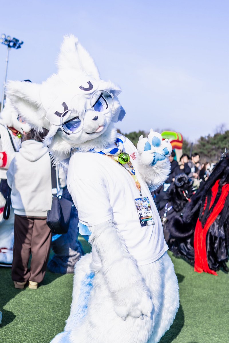 퀘이버 tweet media