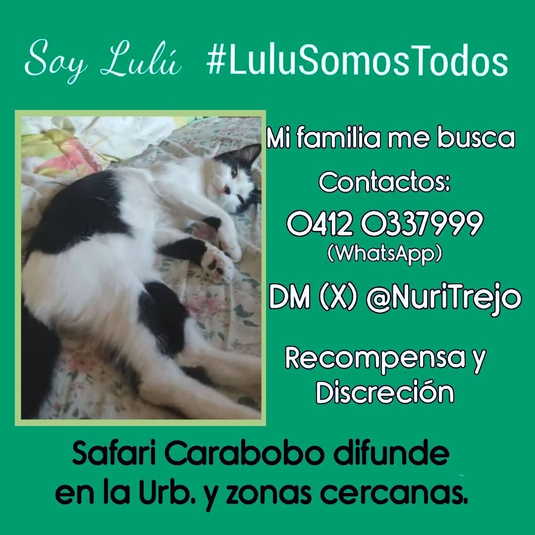 Nutrecajo tweet media