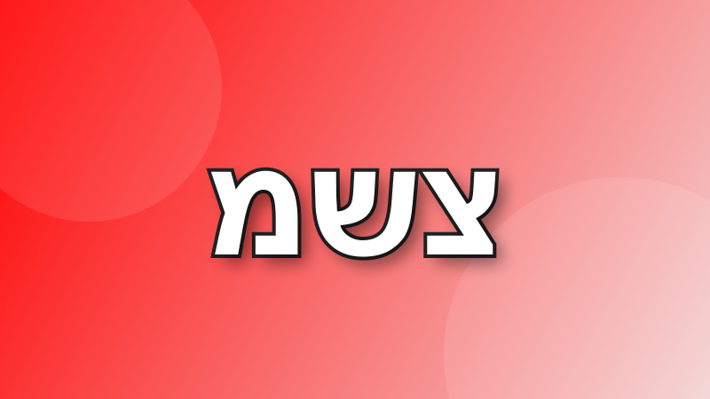 ששל בוט tweet media