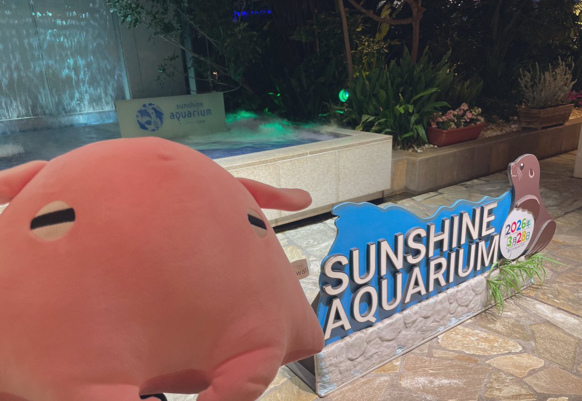 村乃まち💃4月｜呉西海ノ暁・全艦東 tweet media